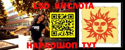 эйфоретик Владимир